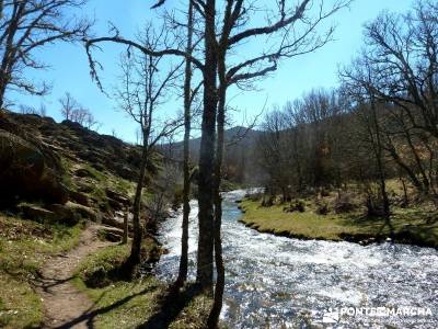 Molinos Hiruela; federacion de montaña de madrid; federacion de montaña madrid;tejo árbol